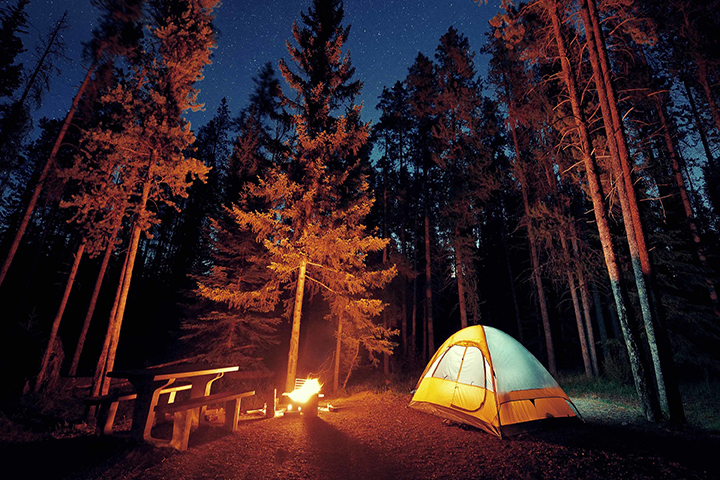 Camping Picture