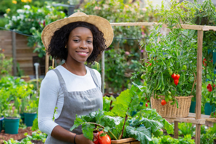 Growing Food