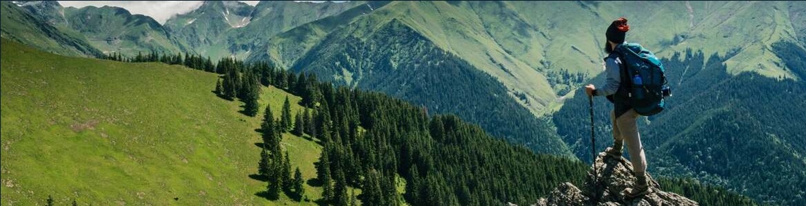 High Altitude Hiker